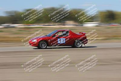 media/Oct-04-2025-OnGrid (Sat) [[44bd565ffa]]/Purple Group/Grapevine/